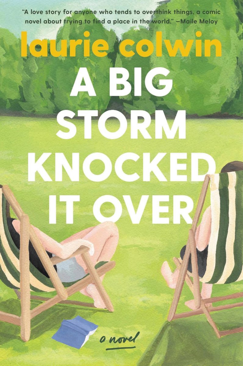 A Big Storm Knocked It Over cover