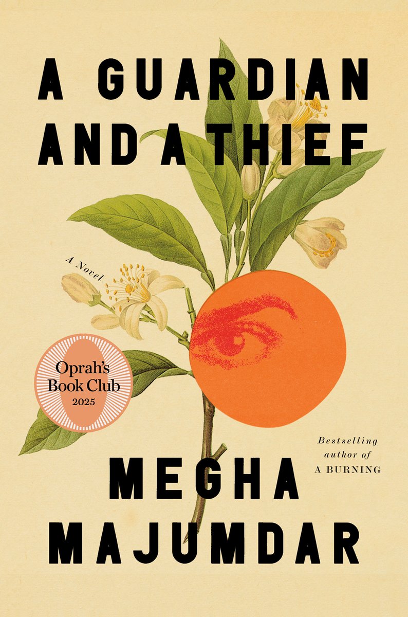 A Guardian and a Thief cover